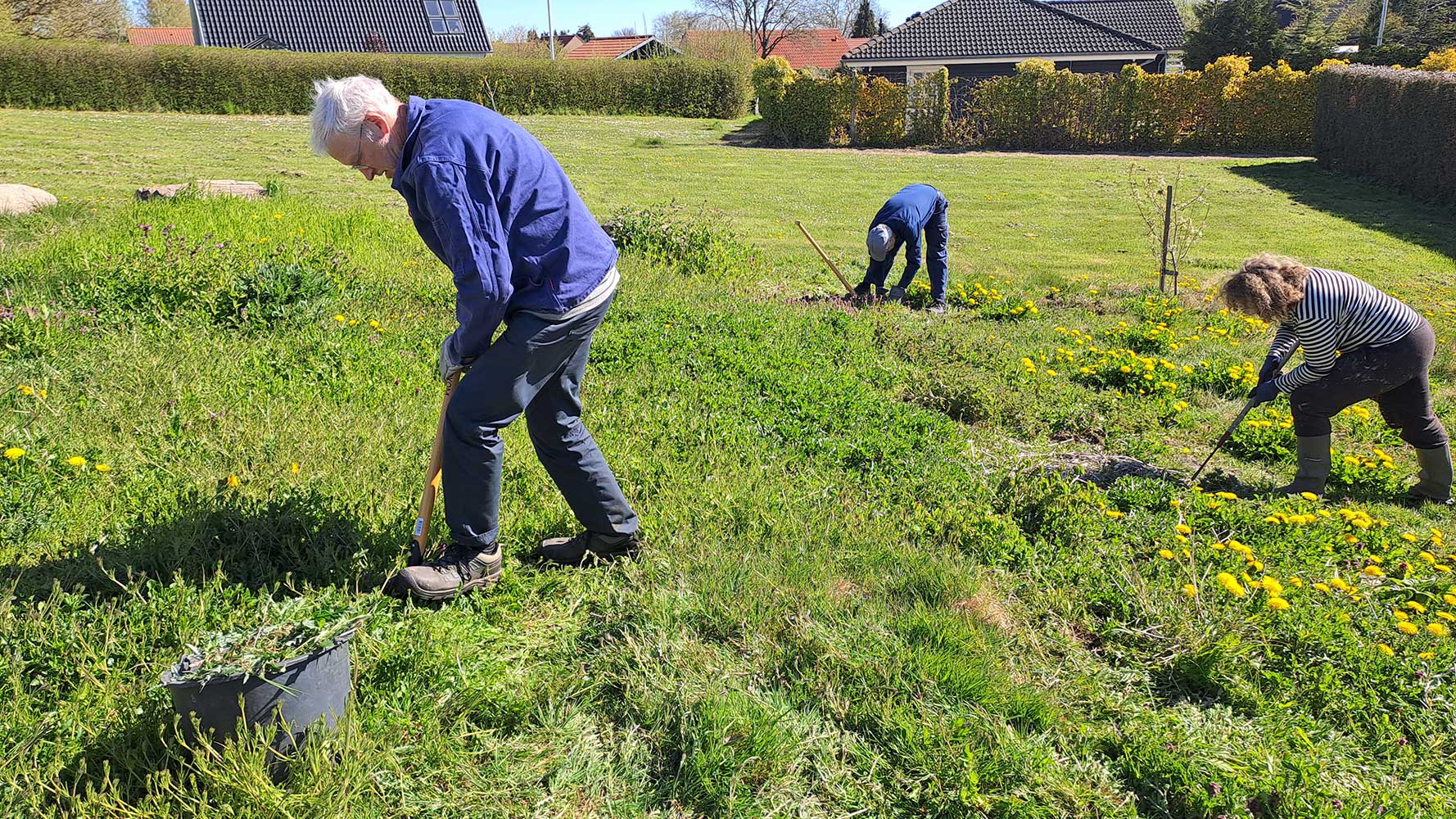 På forkant med Vild med Tårup